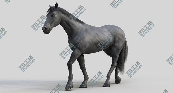 images/goods_img/20210312/Horse PRO ( Black ) 3D model/2.jpg